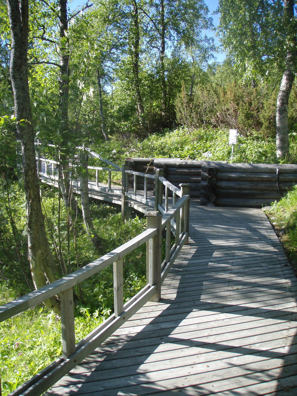 Fjällbotaniska trädgården, foto Andreas Karlsson