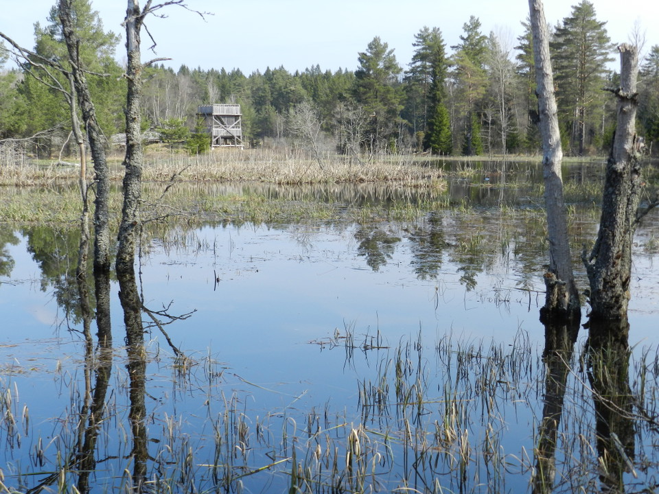 Lars Magnusson