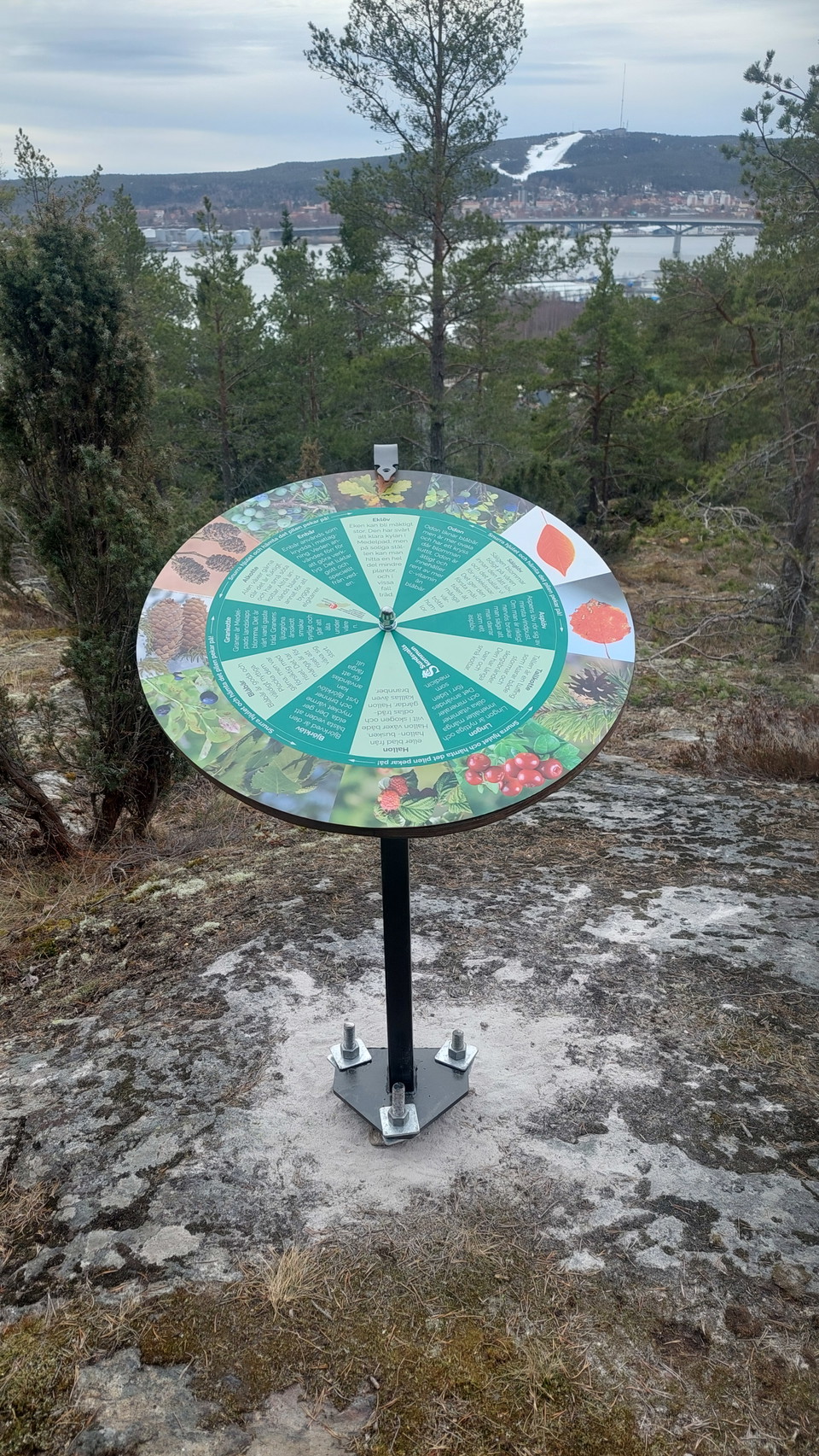 Snurra på hjulet och hämta det som den pekar på