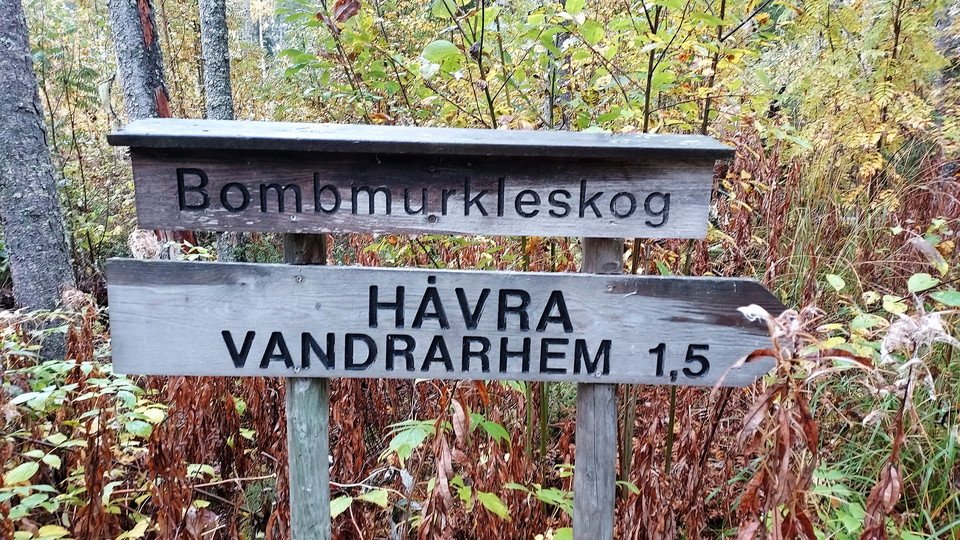 Håvrahällan, Bombmurkleskog