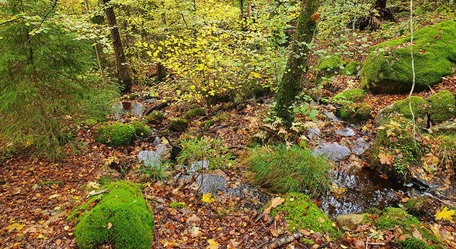 Södra Sutarebo naturreservat