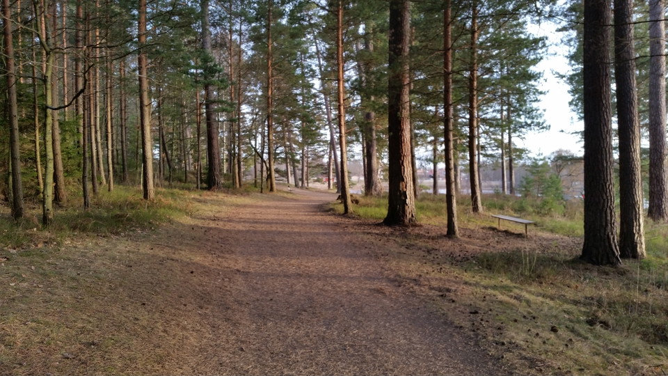 Värnamo kommun