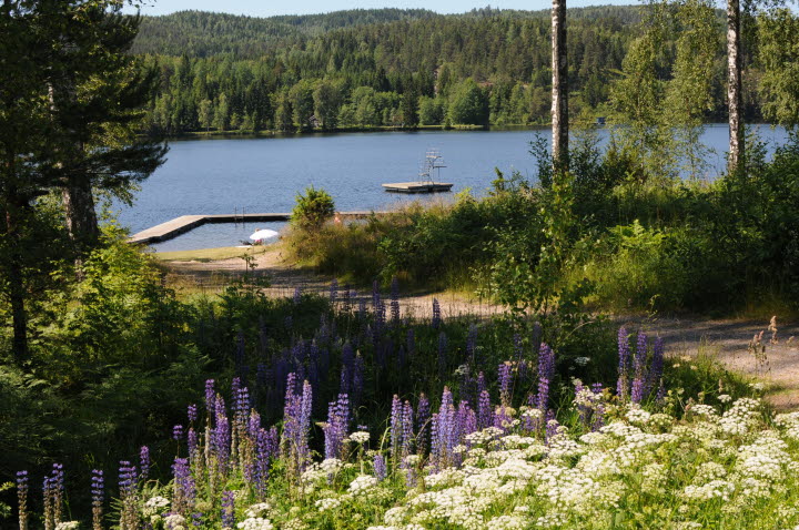 Badplats Kampudden