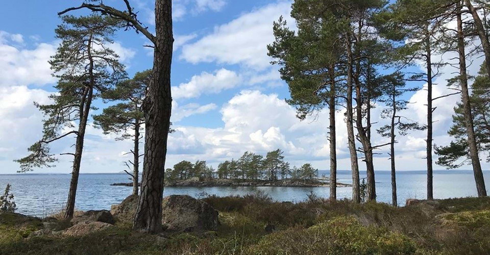 Västanvik rundslinga
Motala