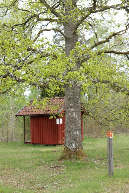 Foto: Josefine Gustafsson