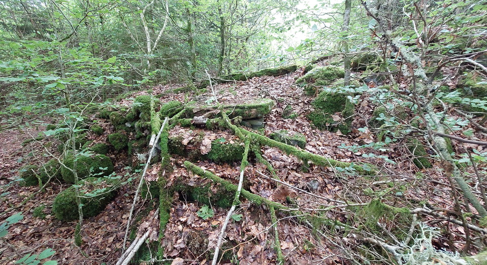 en trappa till ett gammalt hus i Tranehult