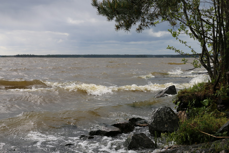 Vågor på Mälaren slår mot stenar.