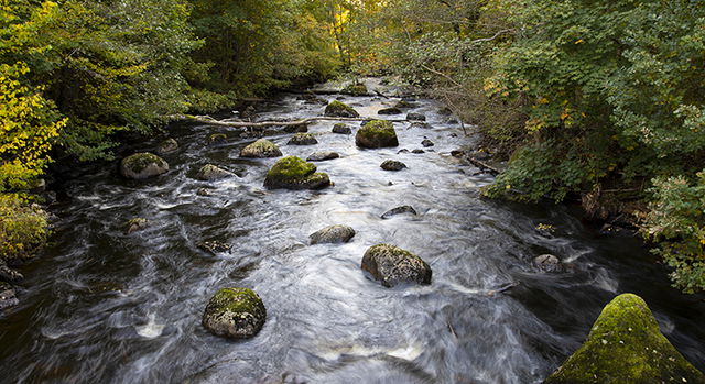 Östafors bruk, Naturreservat
