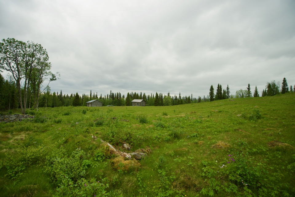 Dainanäs.