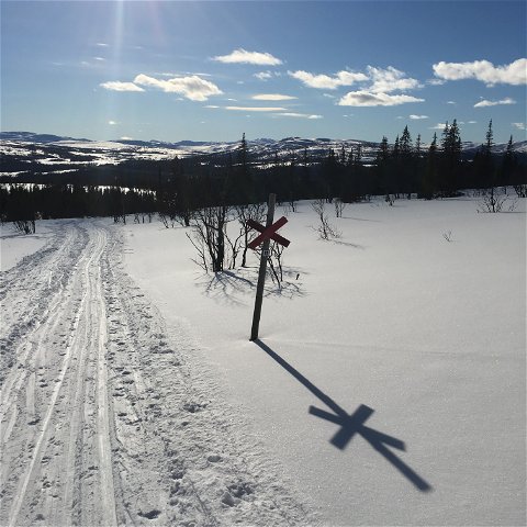 124 Vintervandring Vita Renen (vandringsled, Edsåsdalen)