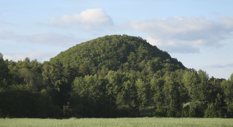 skogsklädd kulle