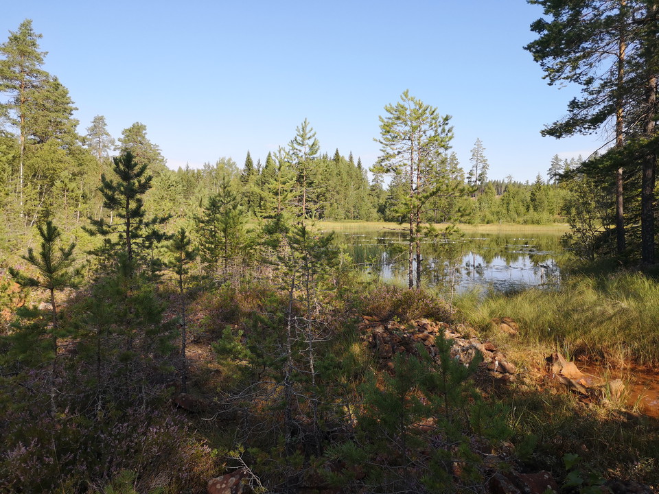 Vy över omgivningarna