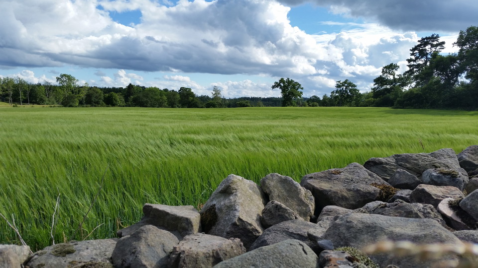 Värnamo kommun