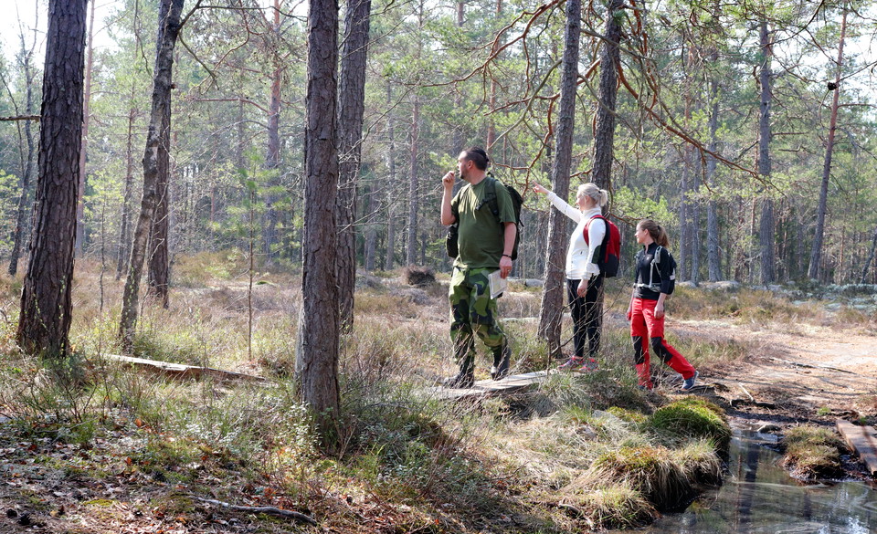 The forest around Lake Gävsjön offers rocky terrain and rich wildlife.