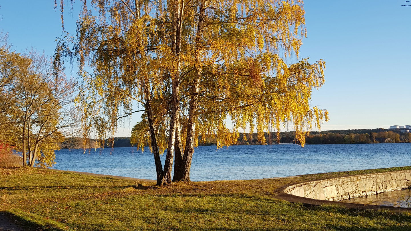 Brygga i Kappsta naturreservat, Foto Lidingö stad