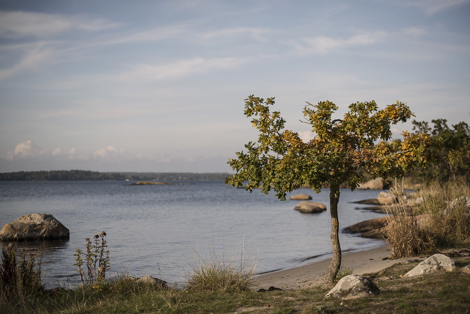Day trip for active nature enthusiasts (bus+hiking) | Ronneby hiking trail Ekenäs - Brunnskogen - Downtown