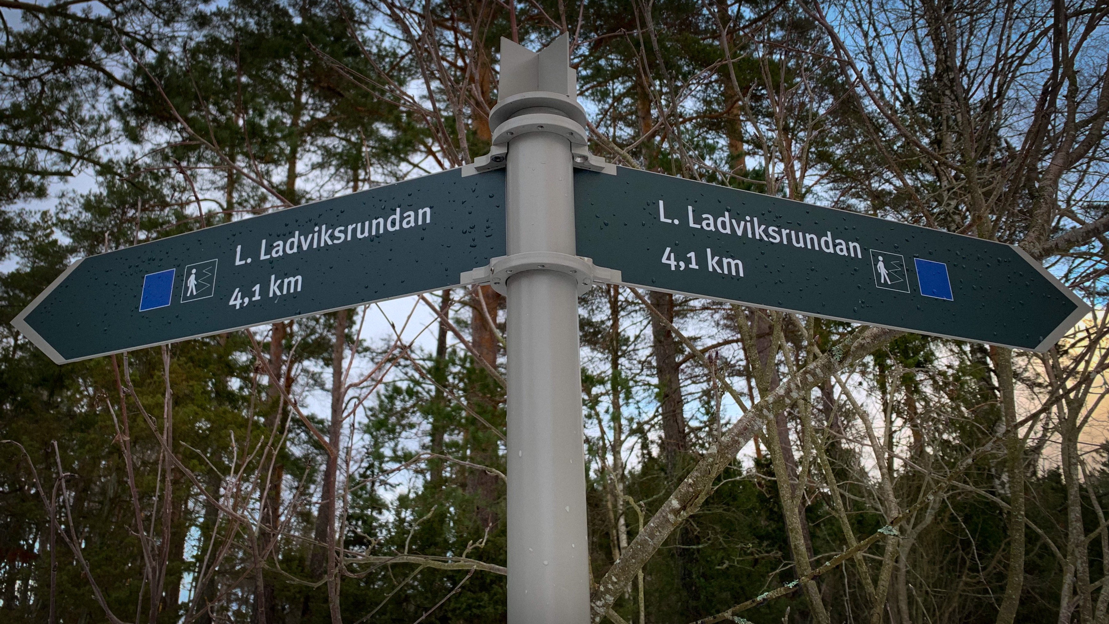 Skylt som märker ut vandringsleden Lilla Ladviksrundan.