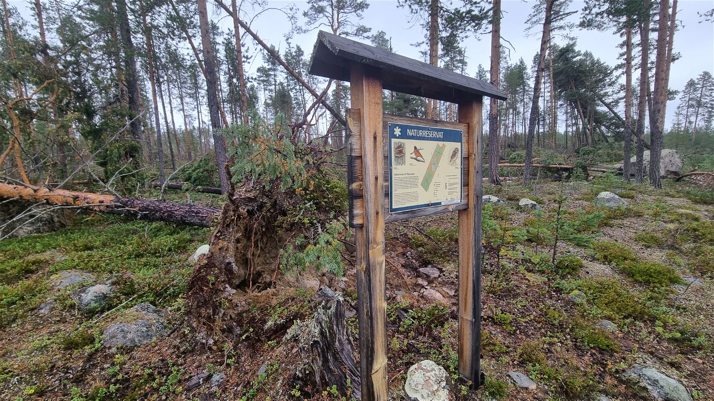 Rismyrans naturreservat i Malå kommun.