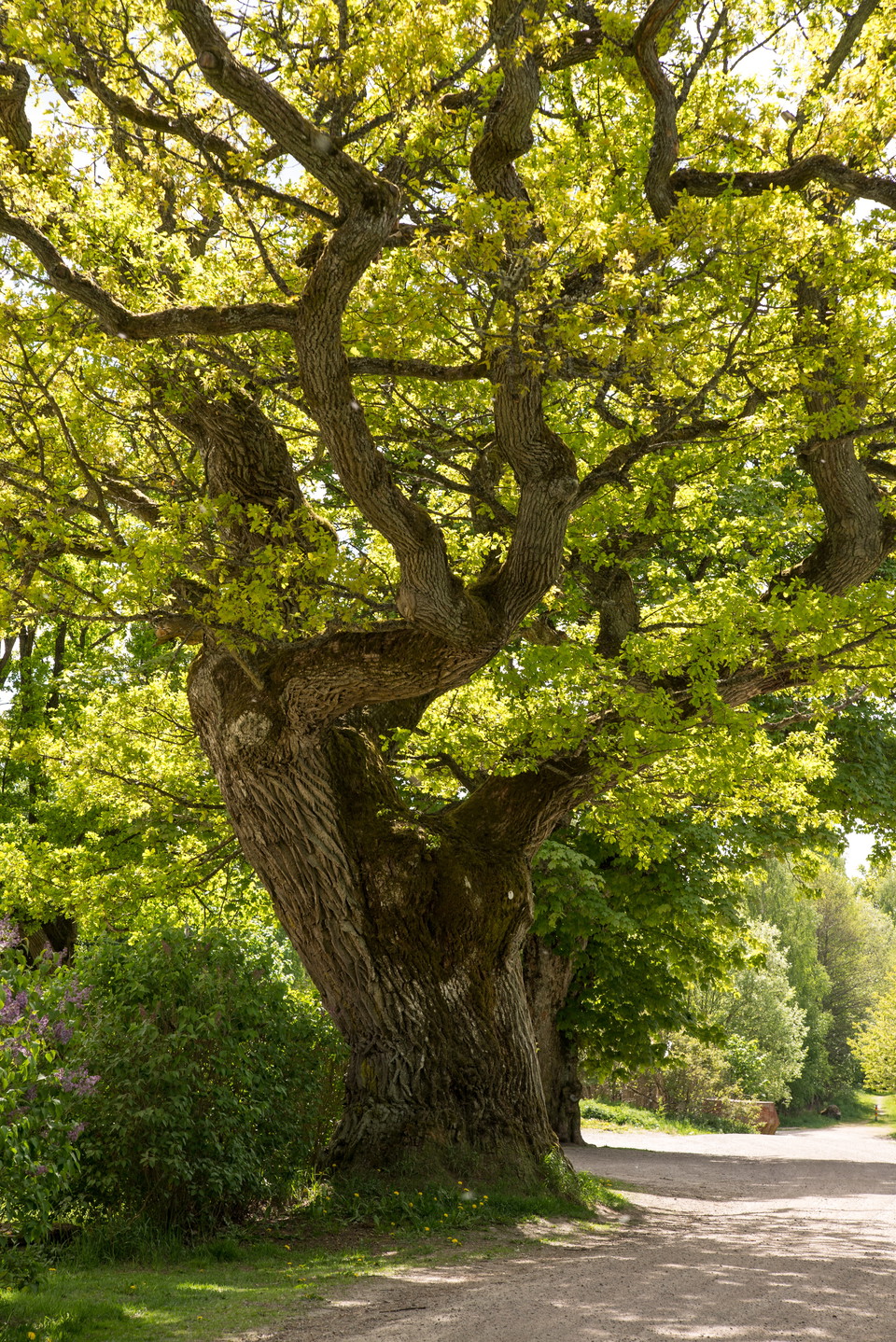 Fotograf: Tobias Ivarsson