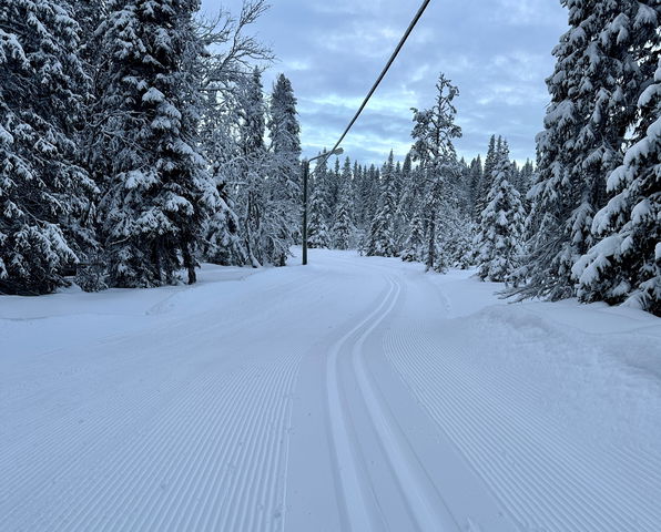Henåspåret 3,5 km (längdskidor, Edsåsdalen)