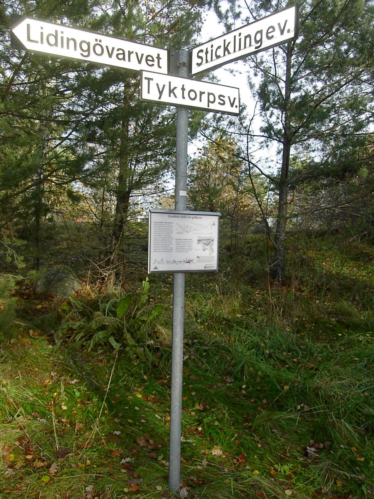 Forngravfält vid Tyktorpsvägen. Foto Lidingö stad.