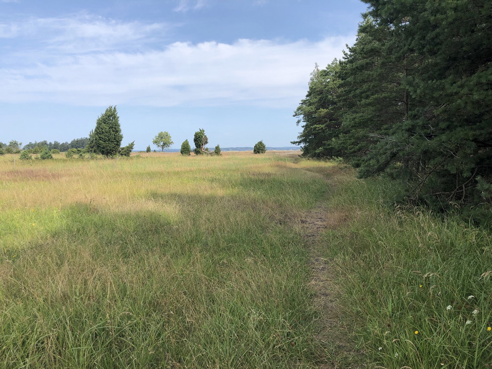Reveluddens naturreservat.