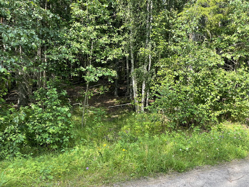 Vy från vägen 