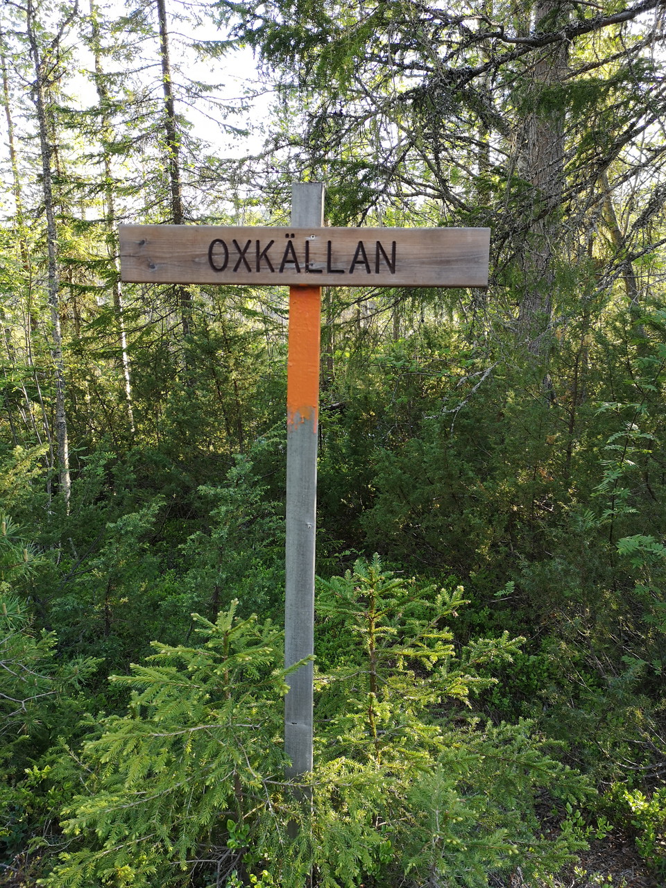 Oxkällan