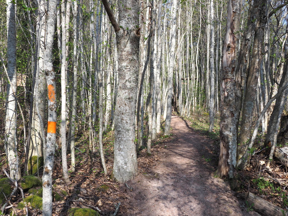 Genom Nybodalen