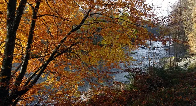 Käringahejan, Naturreservat