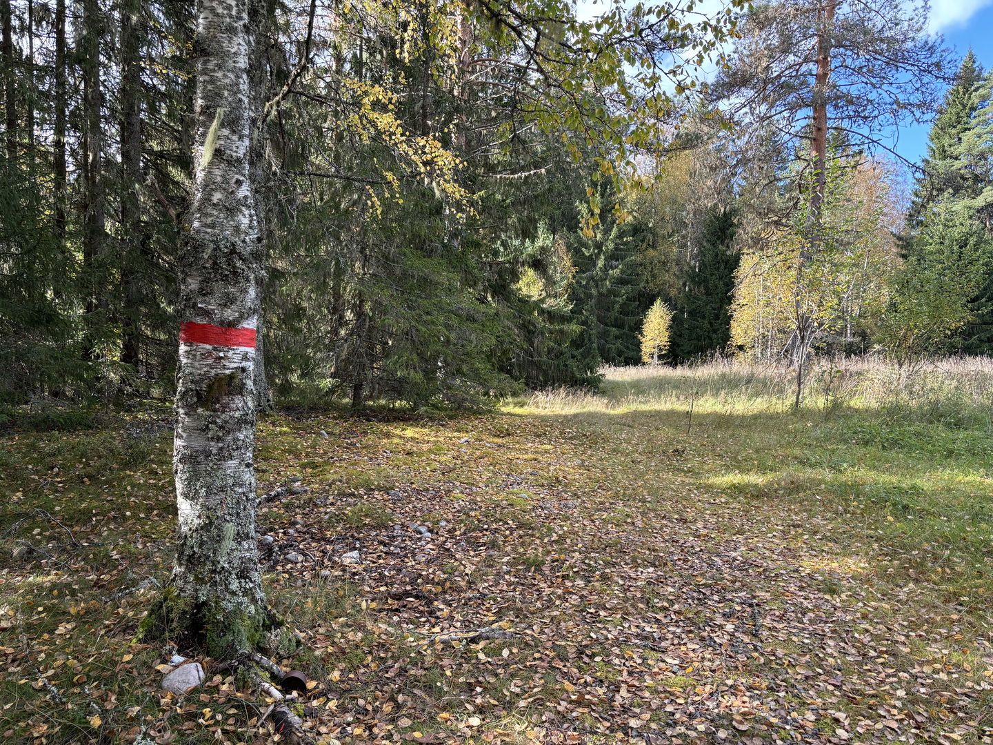 Markering till Malingsbo-Klotenleden