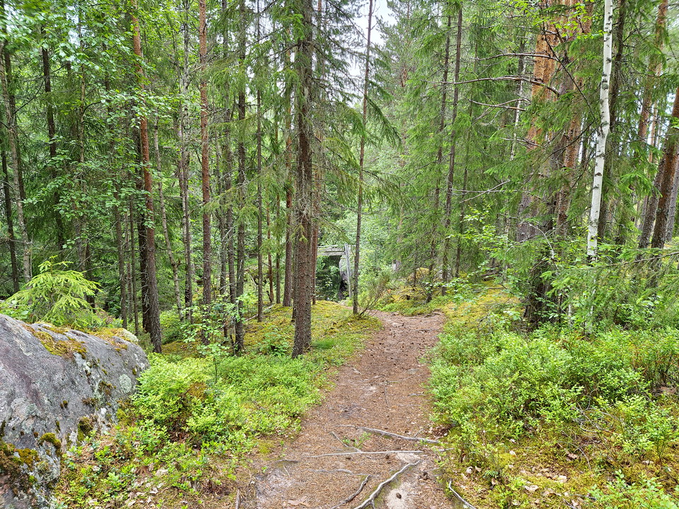 Foto: Khaled Zouroum 