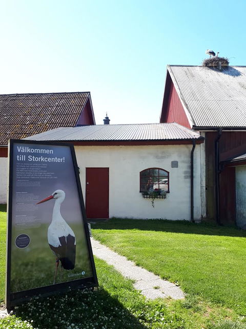 En informationsskylt i förgrunden. Bakom finns stallbyggnader där det häckar en stork i ett bo på taket