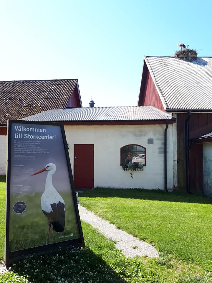 En informationsskylt i förgrunden. Bakom finns stallbyggnader där det häckar en stork i ett bo på taket