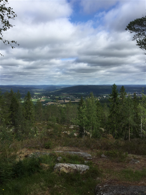 Utsikt mot Selångersdalen från Klissbergsstugan