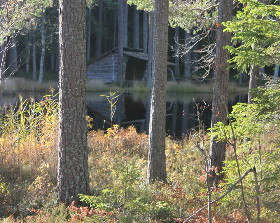 Rastplatsen vid Kamhavet