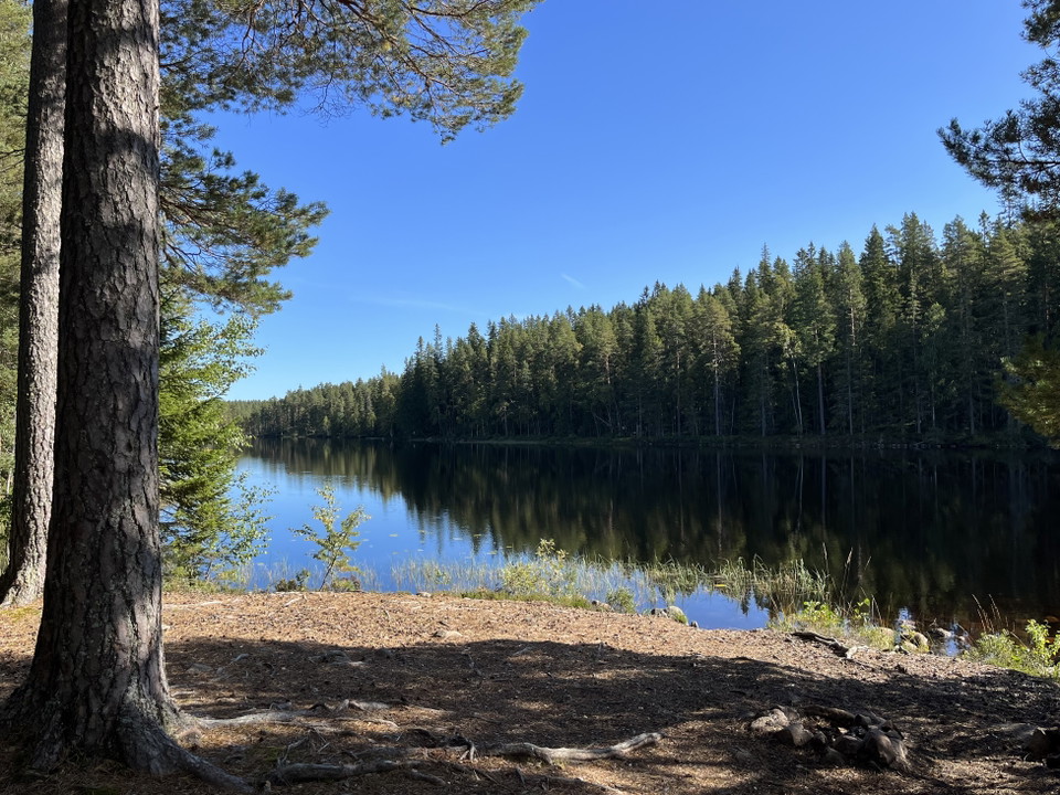Stora Djurlången
