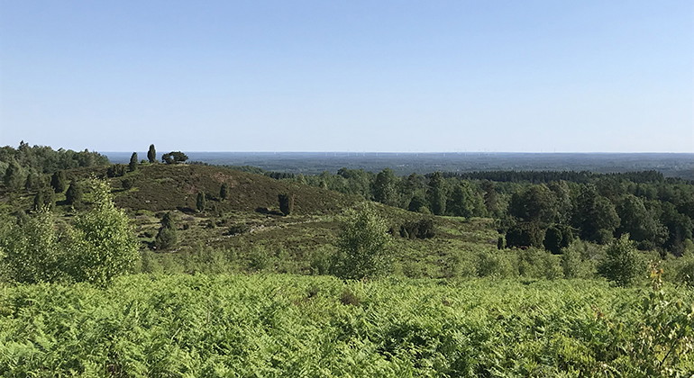 vy över landskap med kullar gräs och träd