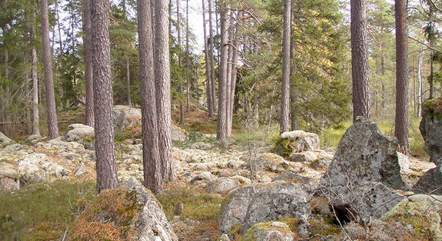 Stenön, Naturreservat