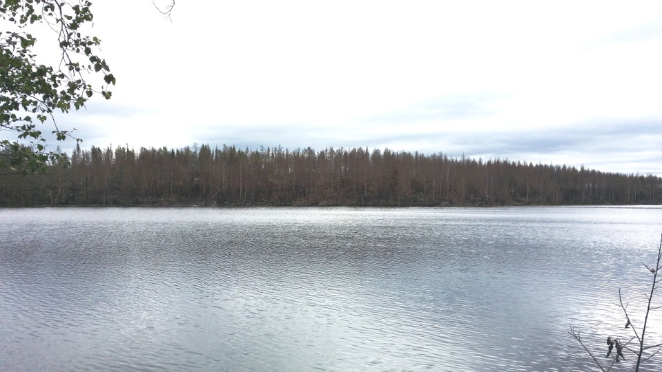 Vy ut över Björktjärnen.