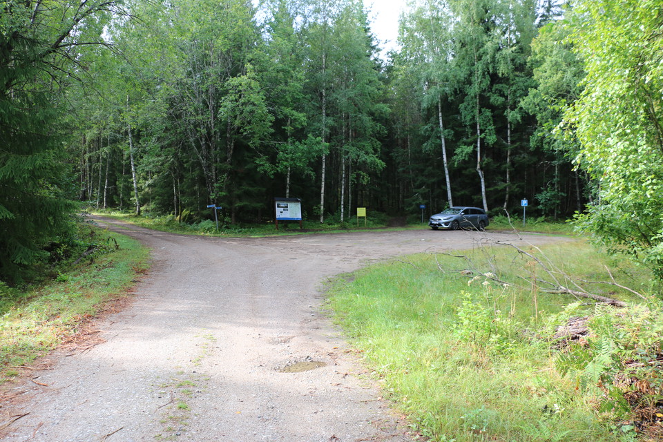 Bil parkerad vi på parkeringsplats i skogen.