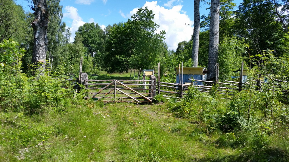 Värnamo kommun