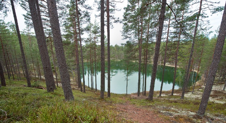Rundslinga runt dödisgropar.