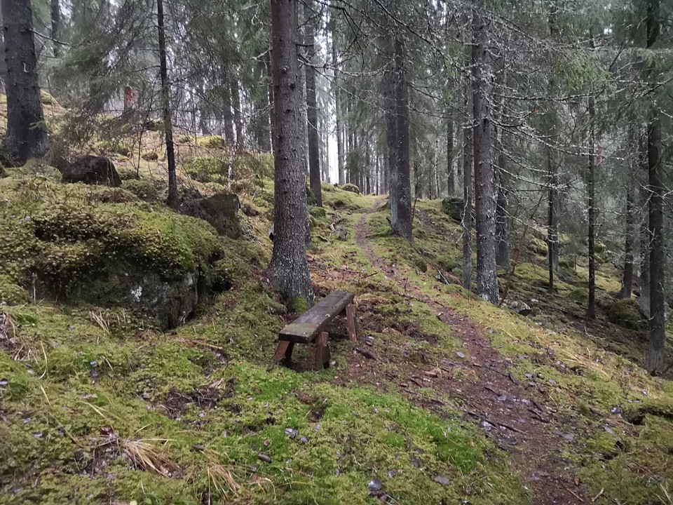 Bänk längs med leden