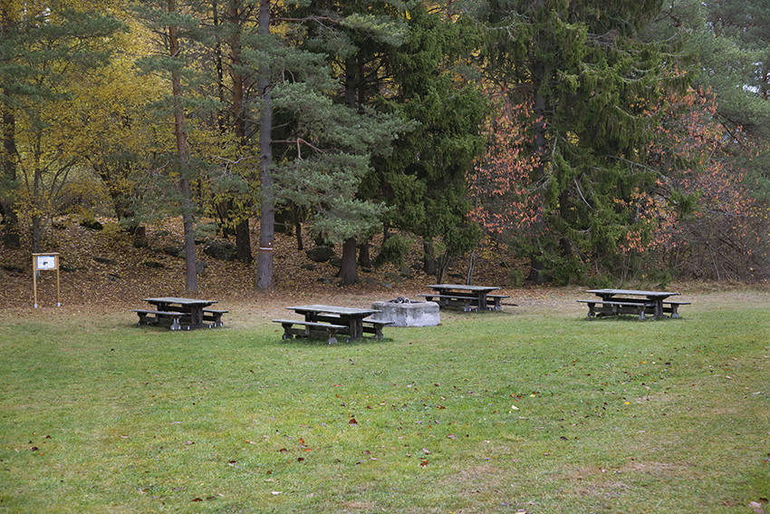 Fyra picknickbord runt en grill