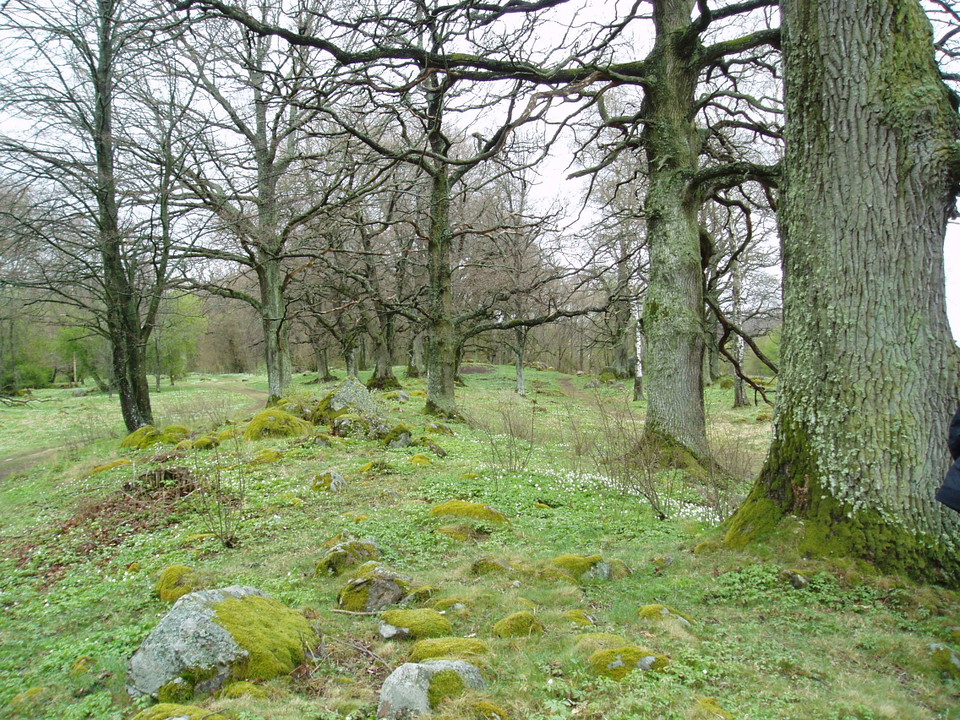 Länsstyrelsen