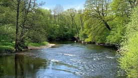 Säveåns Laxfiske Jonseredsvattnet