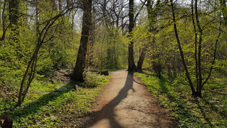 Stig i Kappsta. Foto Lidingö stad