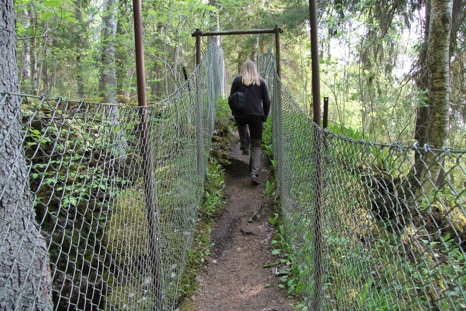 En person går på en smal stig omgärdad av stängsel.