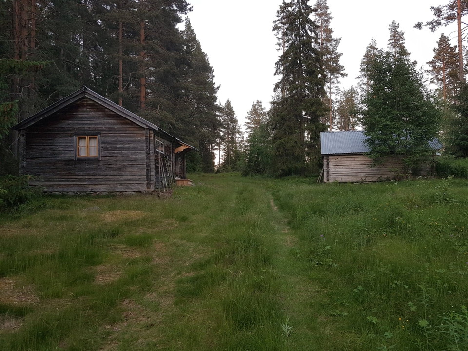 Renåsvallen